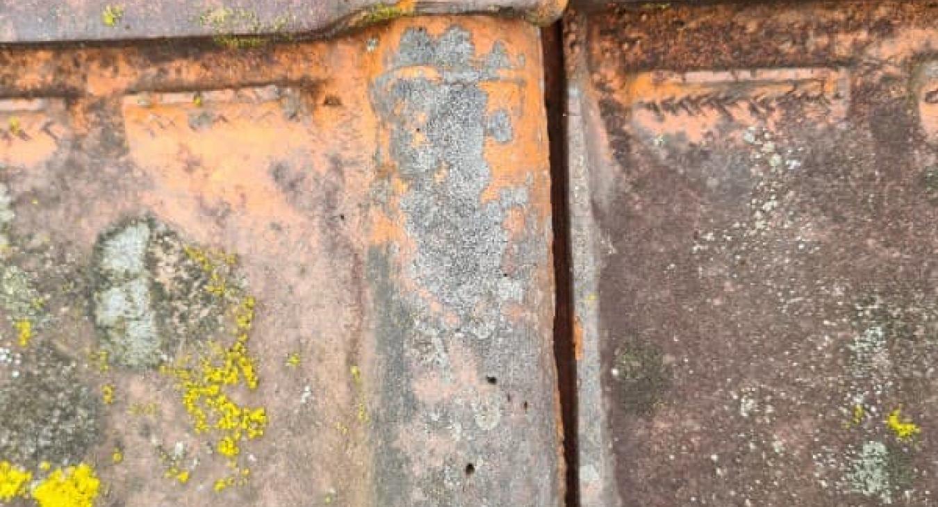 Rénovation de toiture